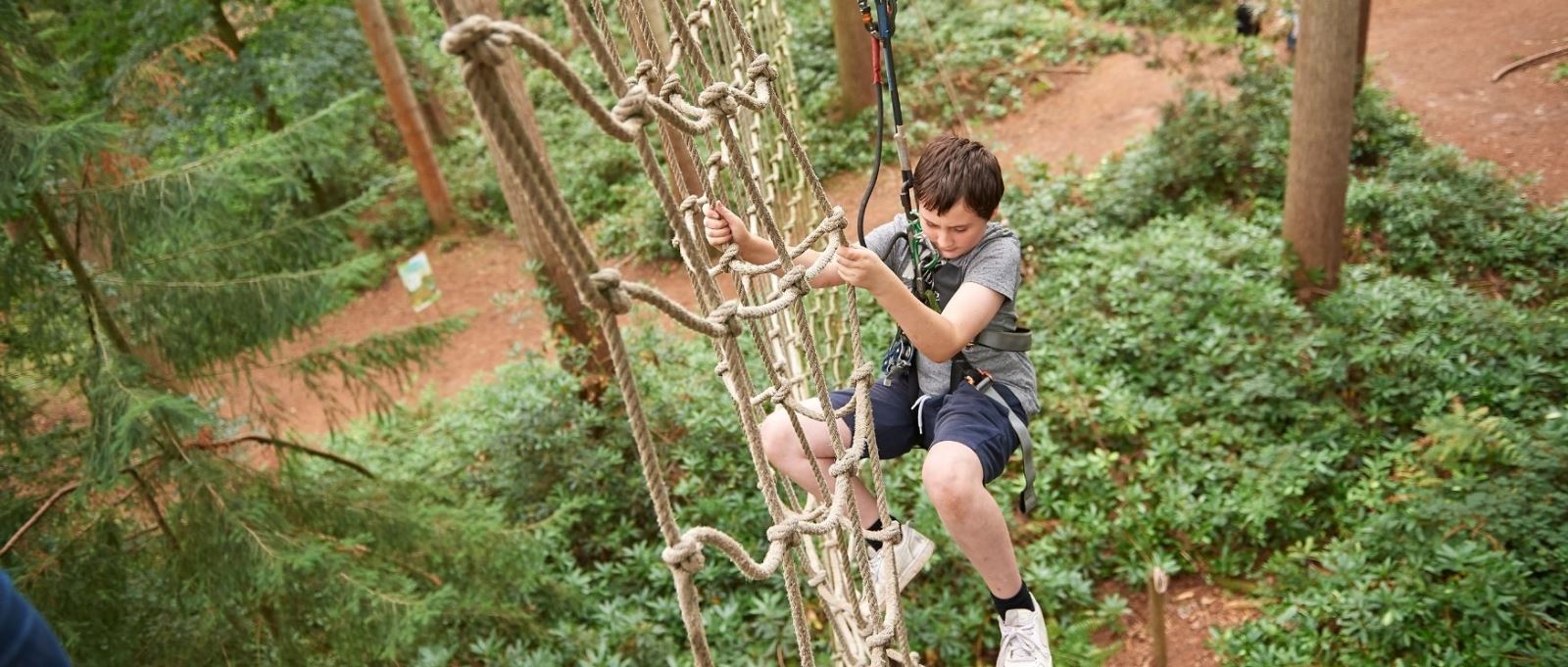 Go Ape